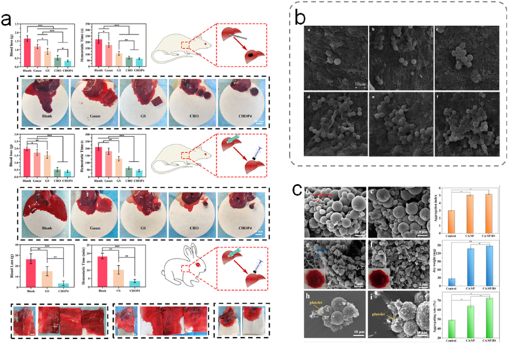 Fig. 10