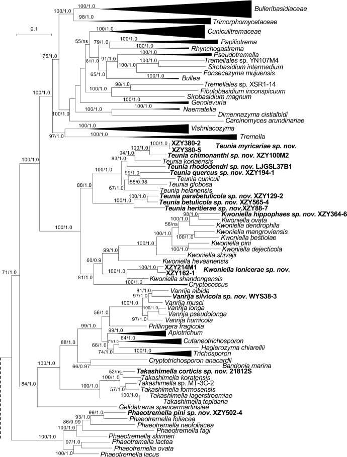 Fig. 2