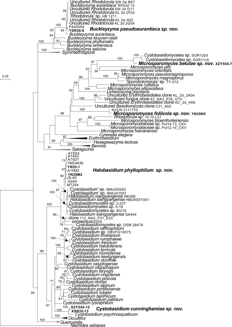 Fig. 17