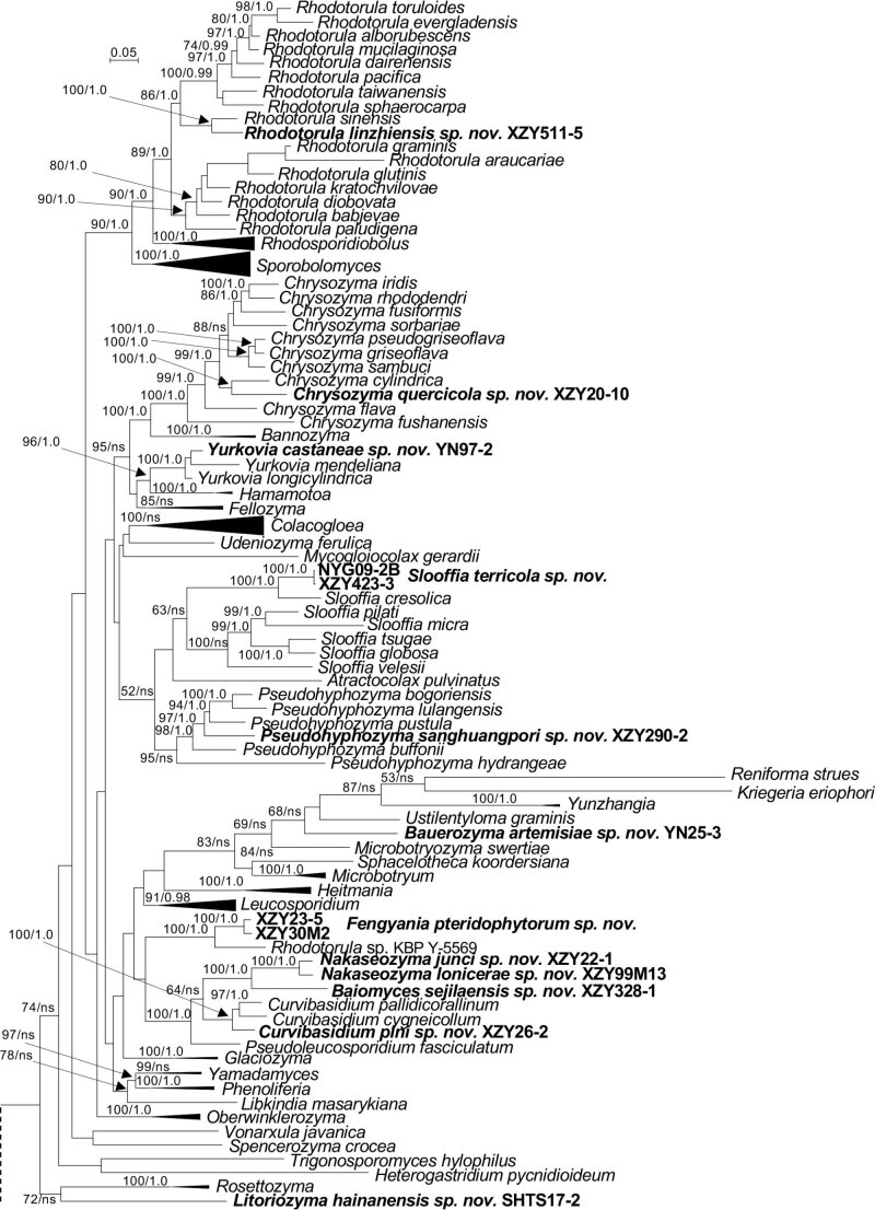 Fig. 3