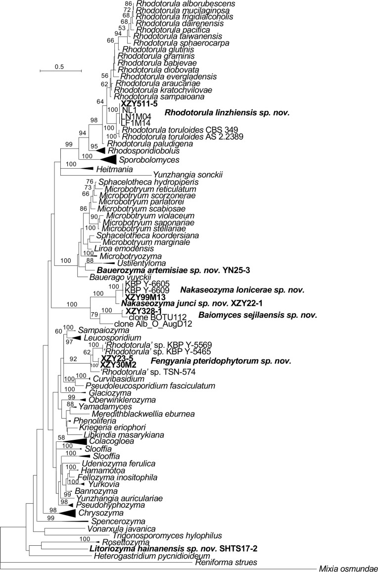 Fig. 18