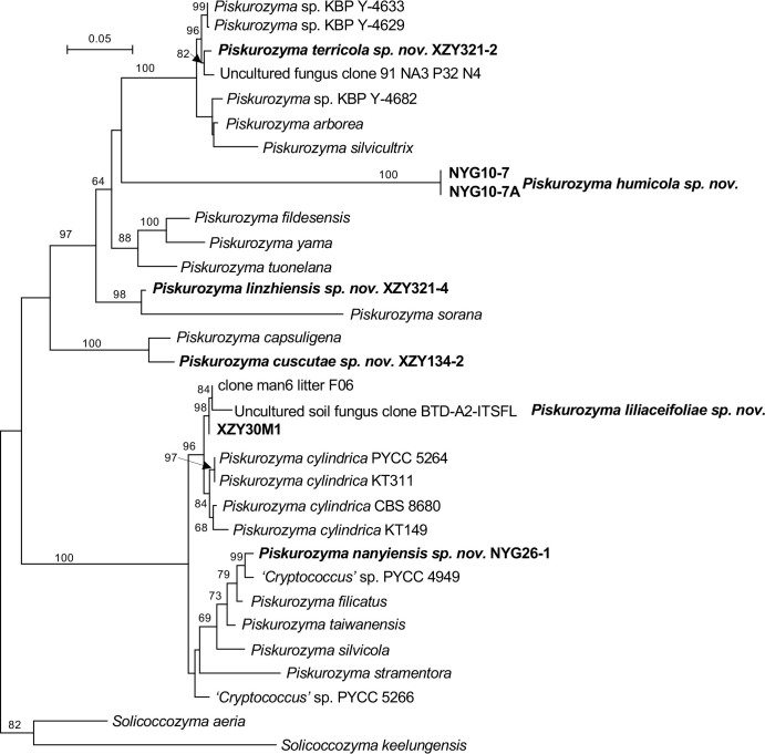 Fig. 13