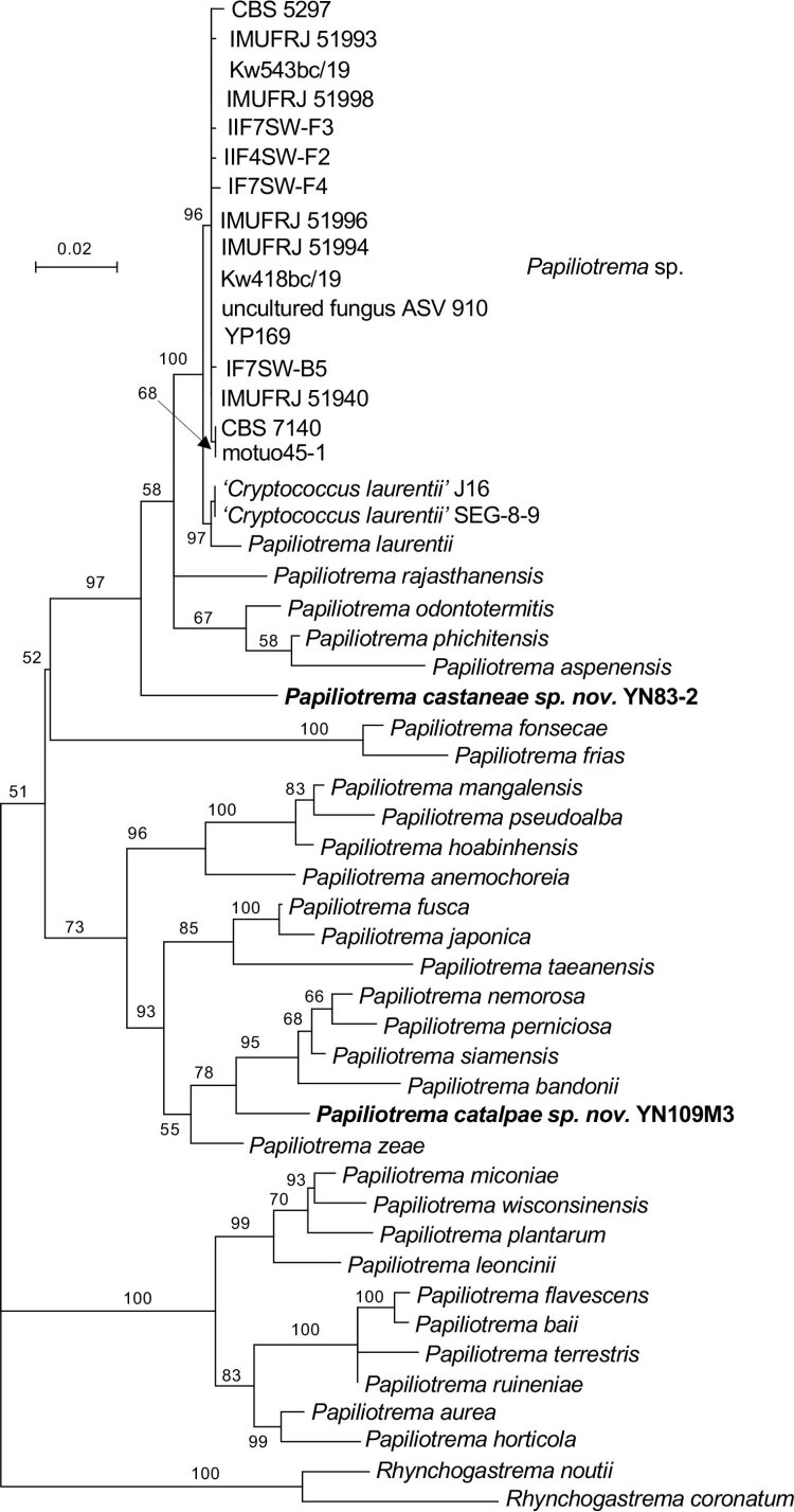 Fig. 7