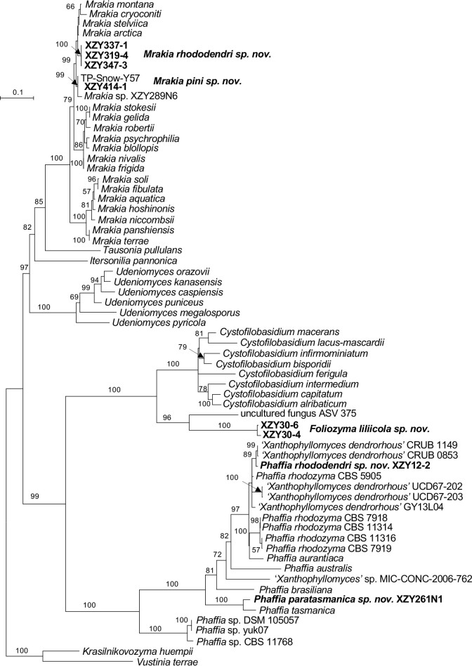 Fig. 14