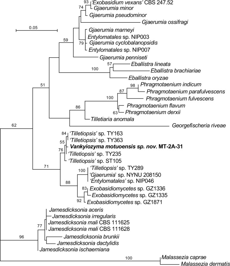 Fig. 21