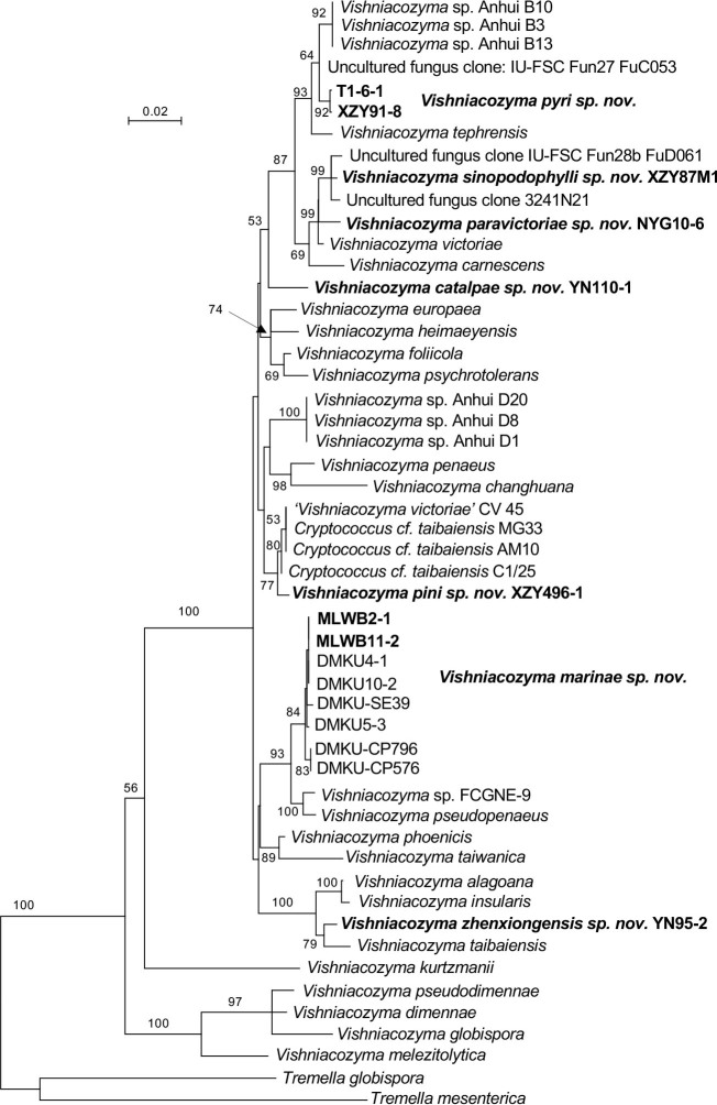 Fig. 9