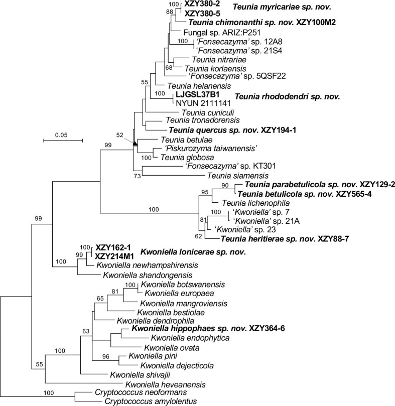 Fig. 10