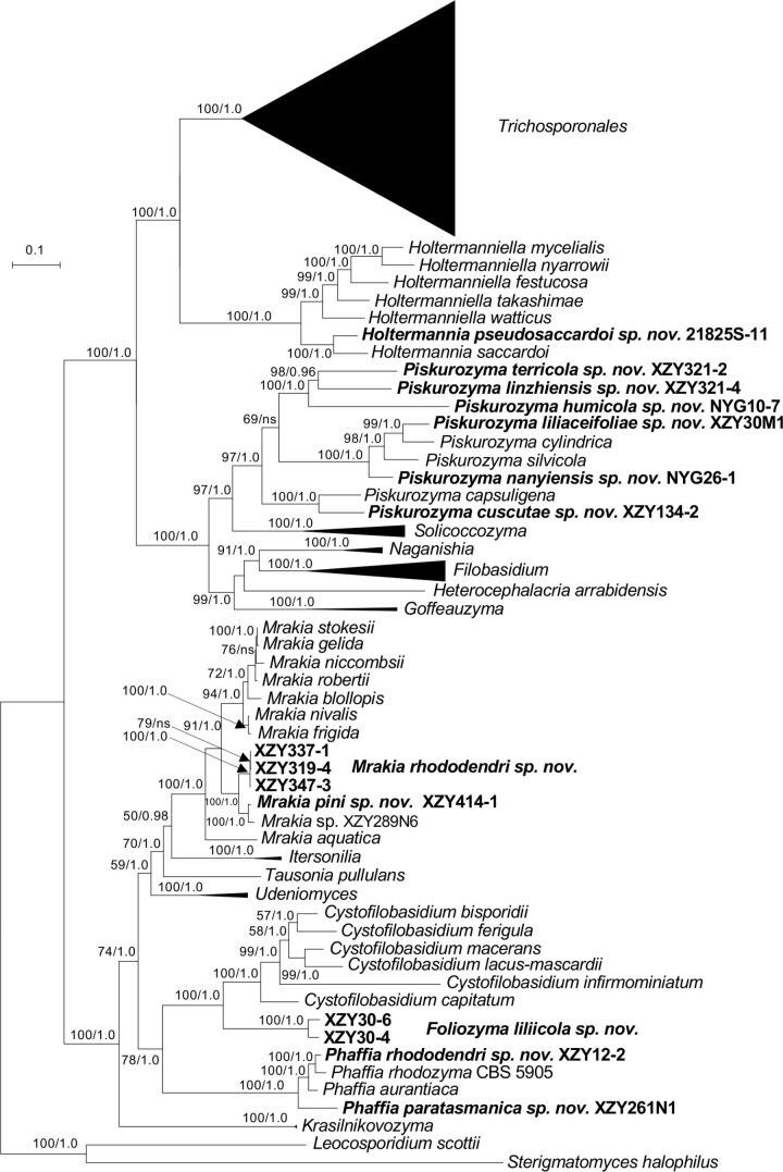 Fig. 2