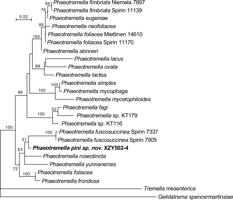 Fig. 11