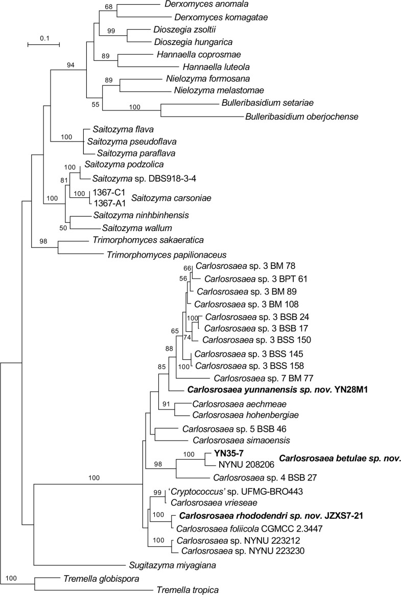 Fig. 6