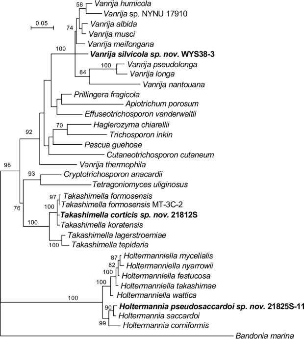 Fig. 12