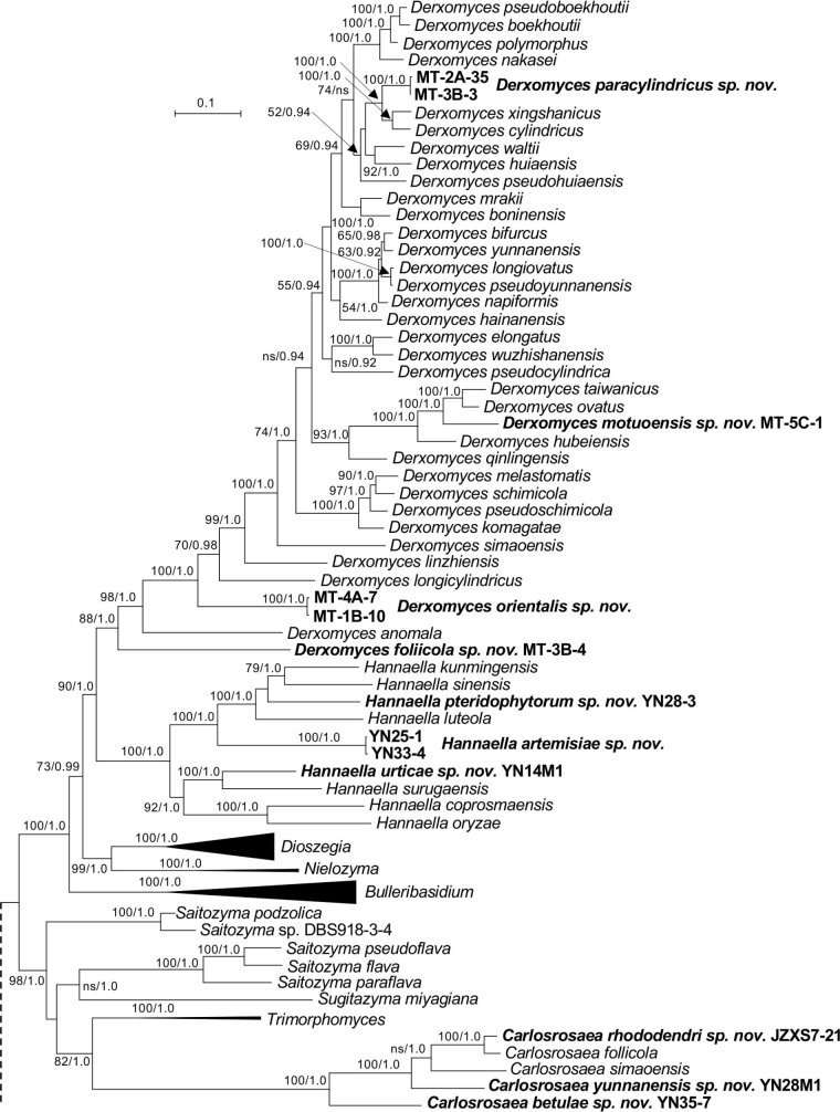 Fig. 2