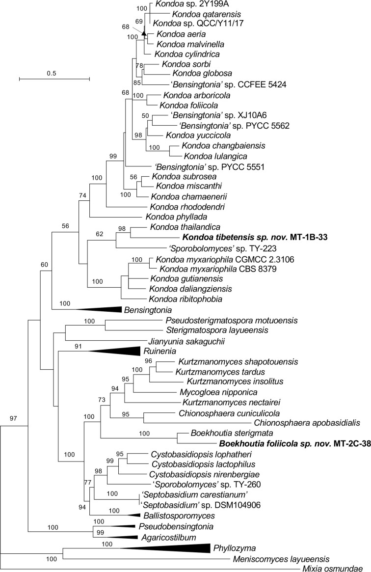 Fig. 16