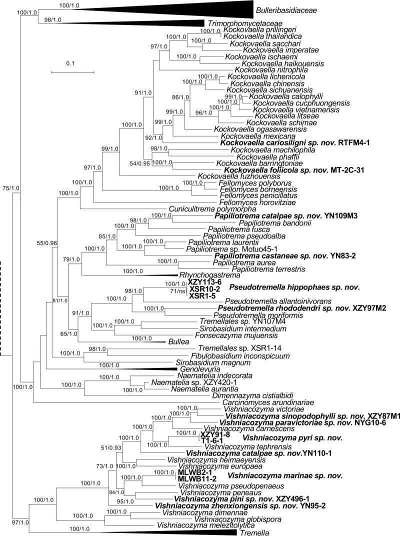 Fig. 2