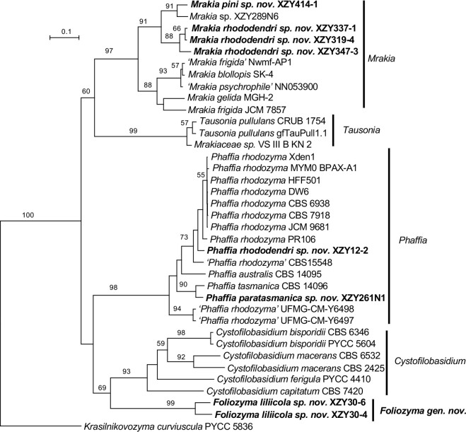 Fig. 15