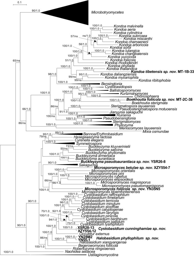 Fig. 3