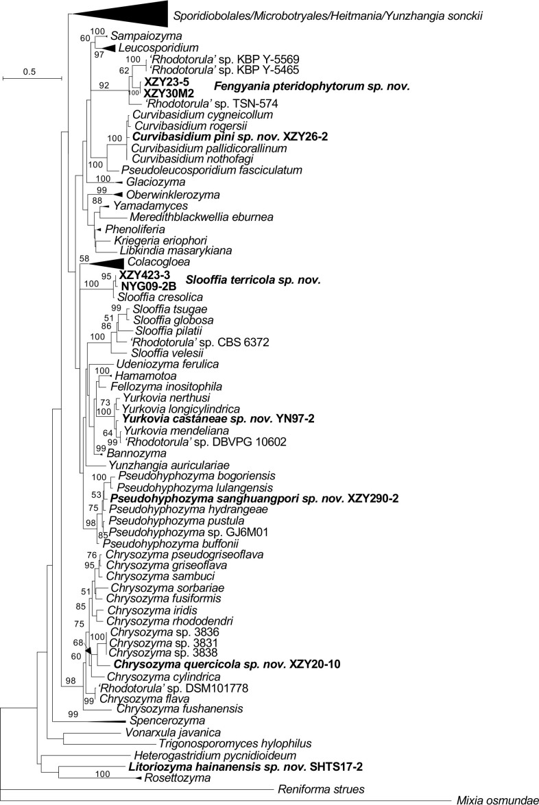 Fig. 18