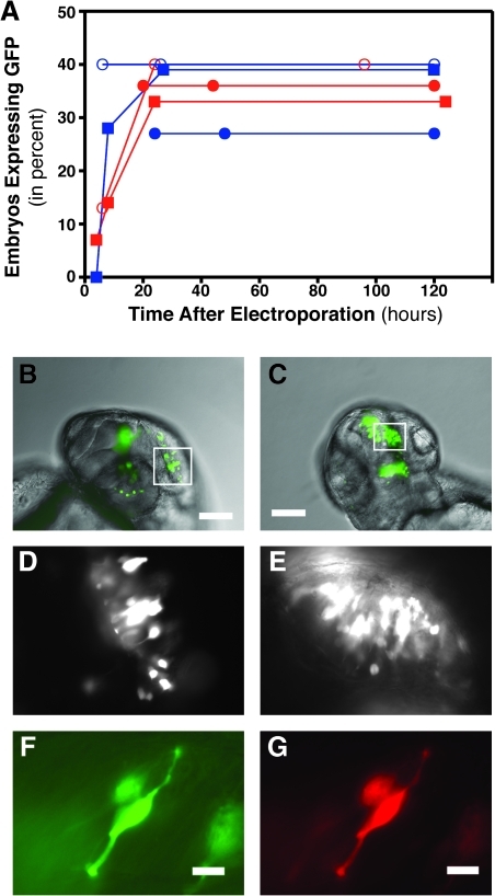 FIG. 4.