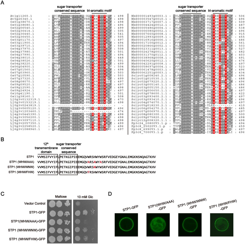 Fig 6