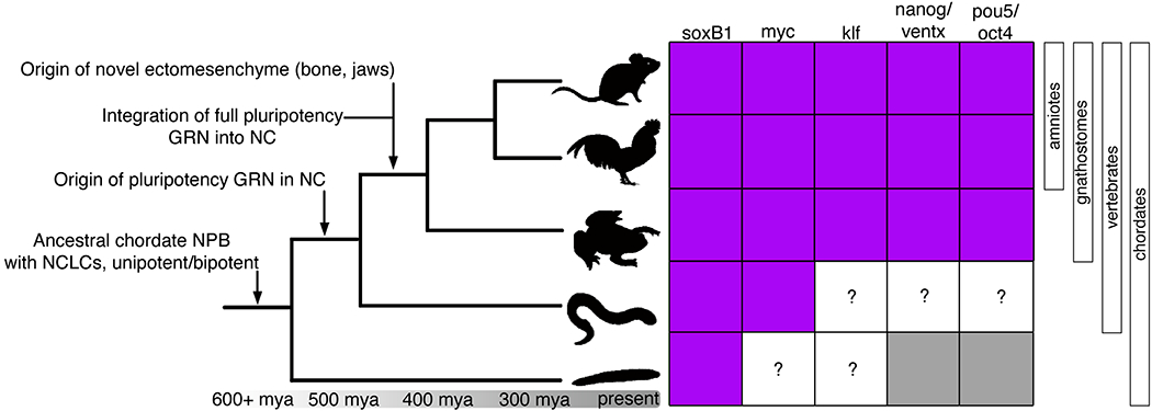 Figure 3.