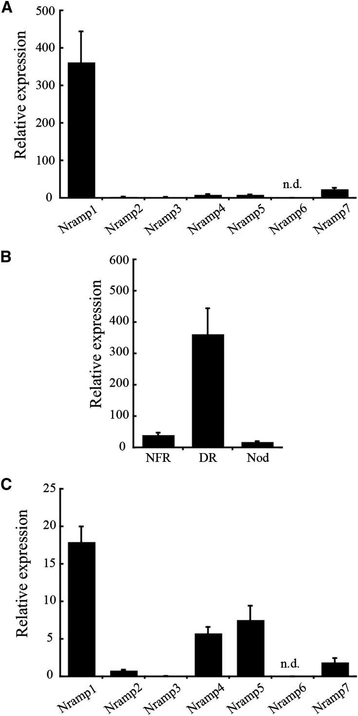 Figure 2.