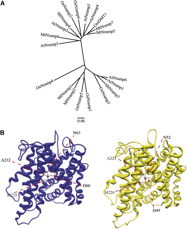 Figure 1.