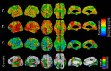 Figure 10.