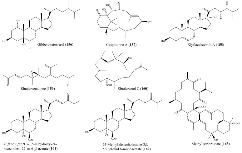 Figure 20