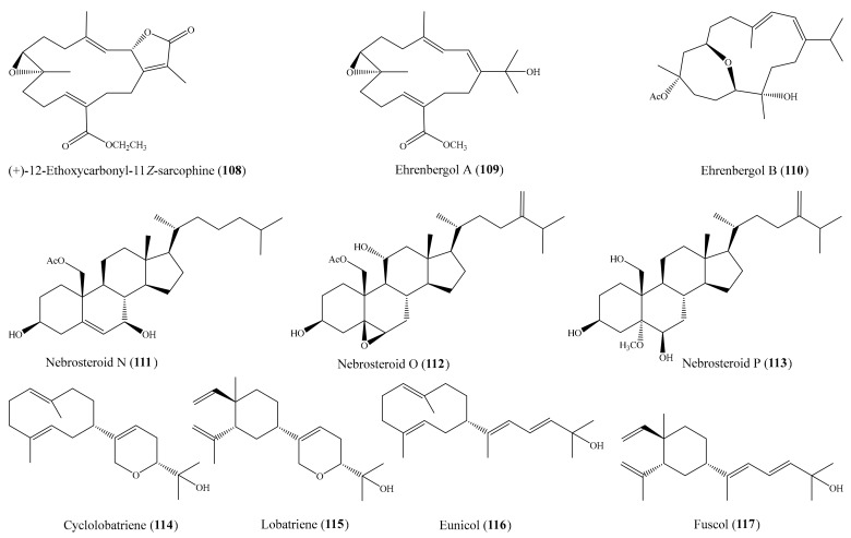 Figure 14