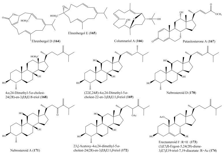 Figure 21