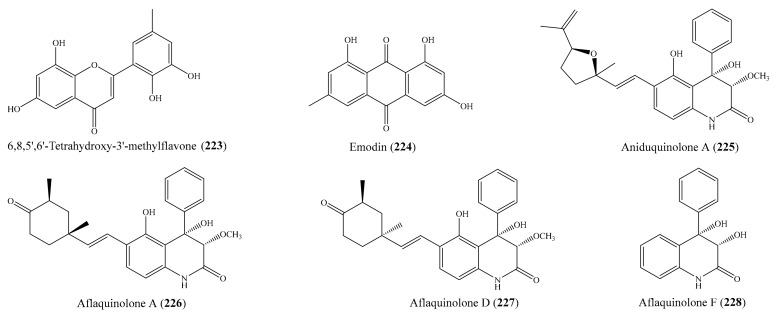 Figure 29