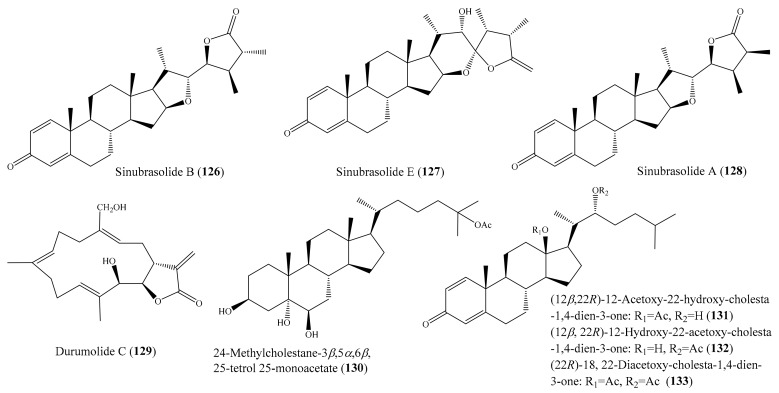 Figure 16