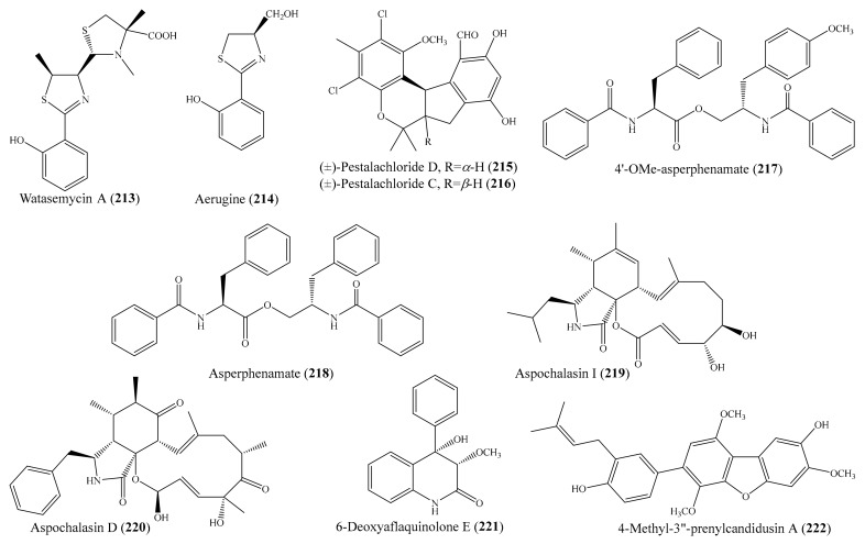 Figure 28