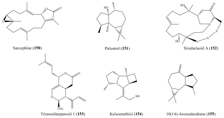 Figure 19