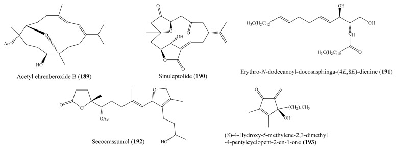 Figure 24