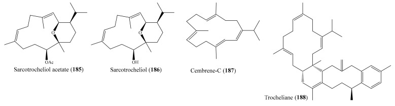 Figure 23