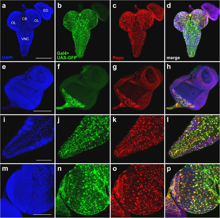 Fig. 4