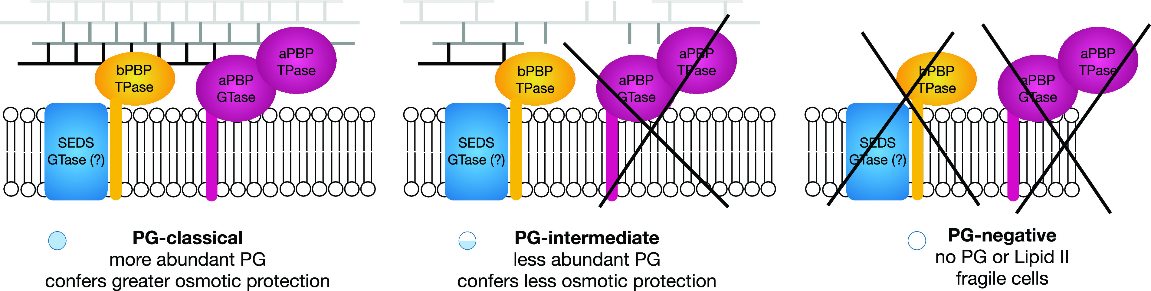 FIG 4