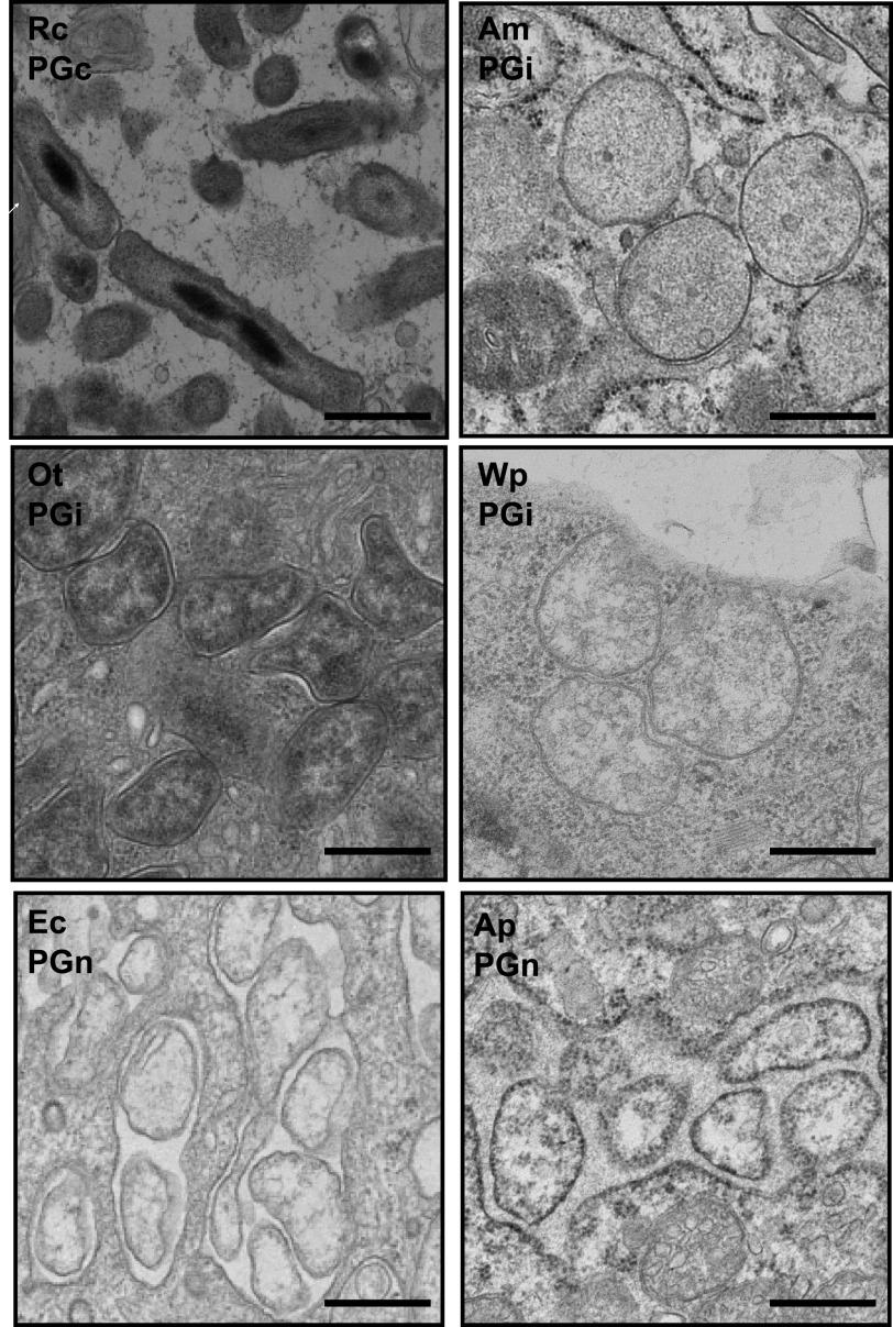 FIG 3