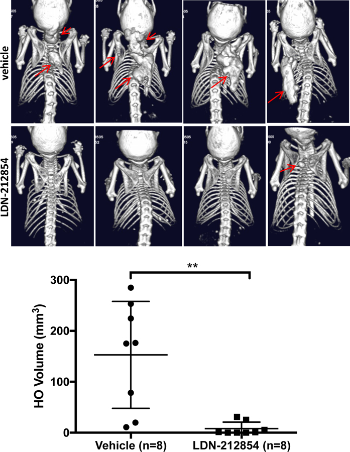 Fig 6.