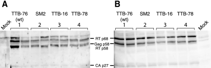 FIG. 4.