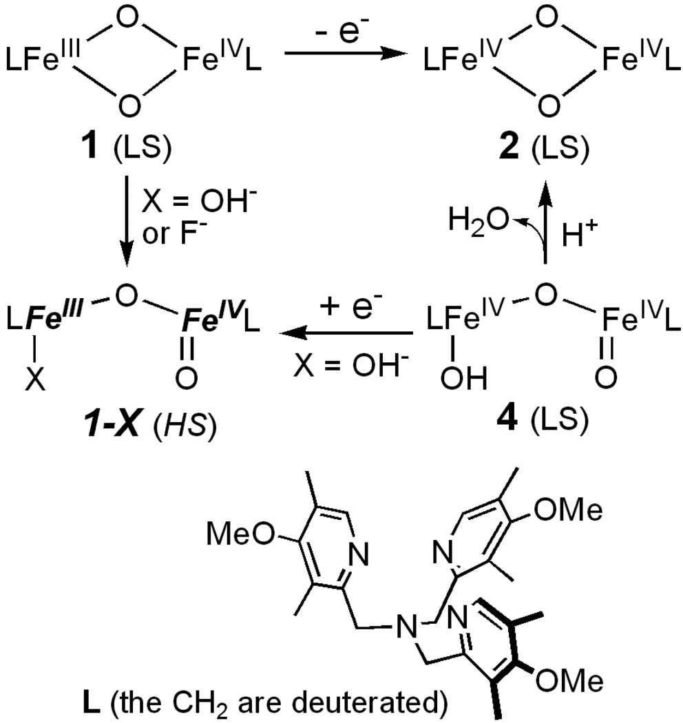 Scheme 1