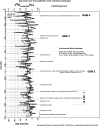 Fig. 7