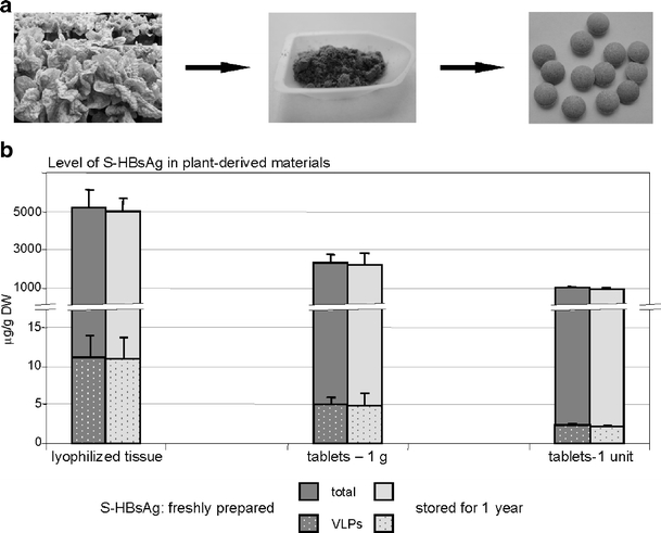 Fig. 7