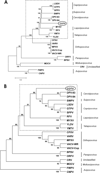 Fig 7