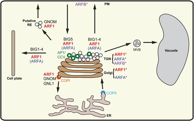 Fig 8