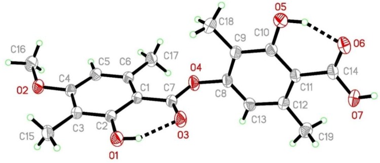 Figure 4