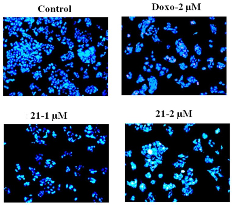 Figure 7