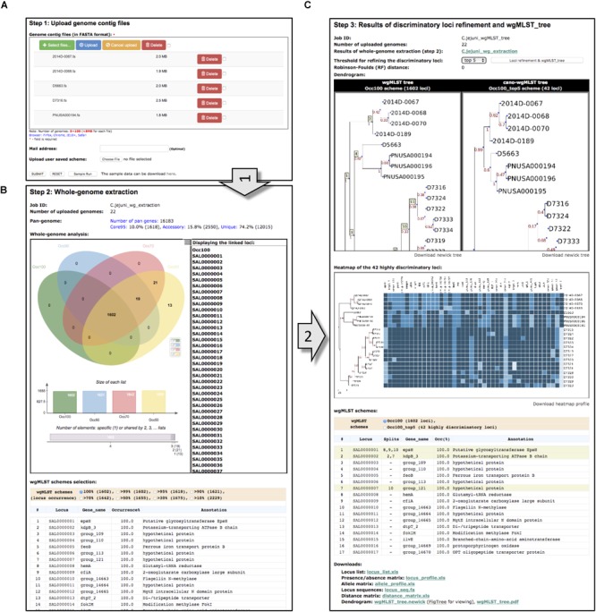 FIGURE 3