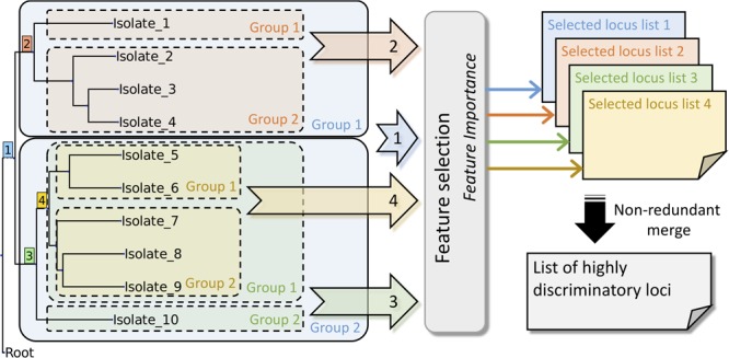 FIGURE 2